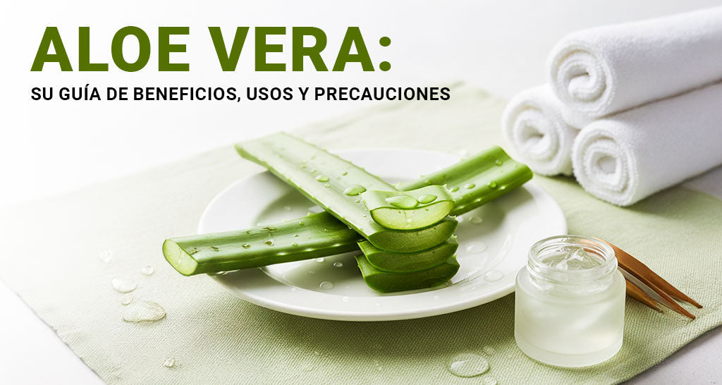 Aloe Vera - Tu Guía de Beneficios | Usos y Precauciones