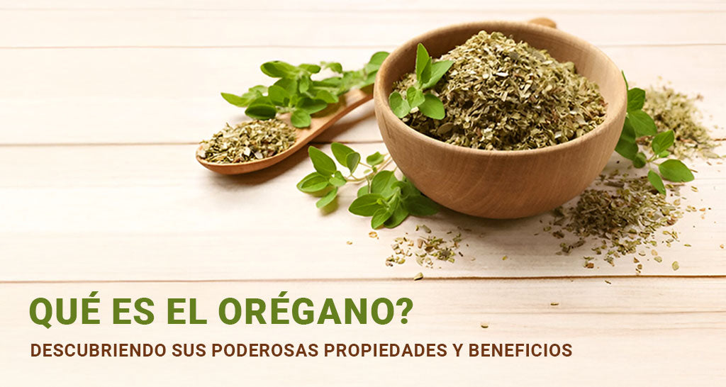 Que es el oregano - descubriendo sus poderosas propiedades y beneficios