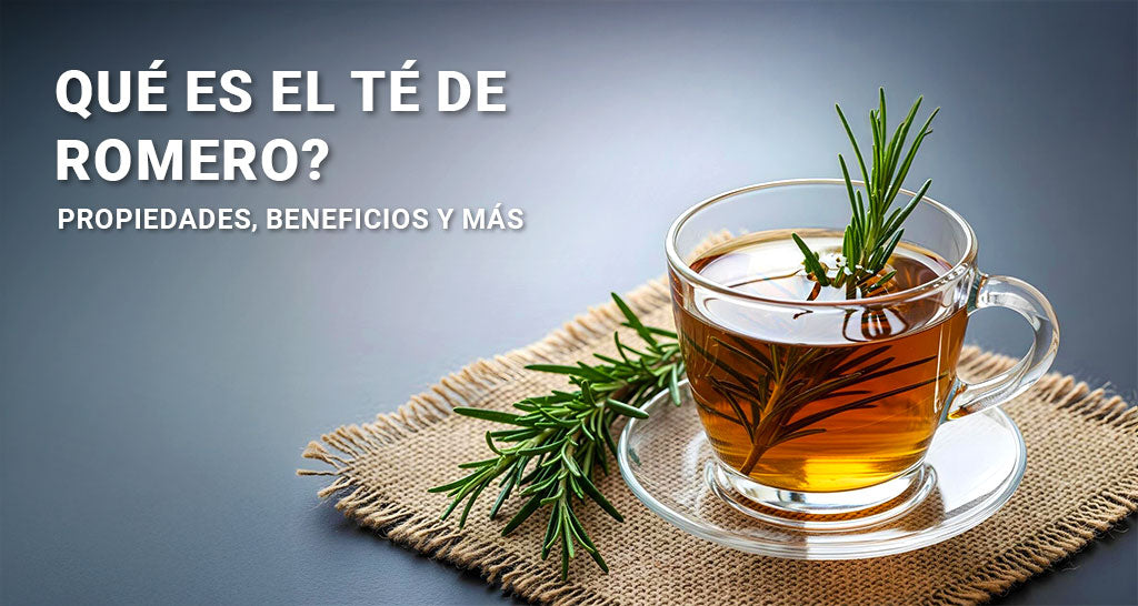 Qué es el té de romero? Propiedades, beneficios y más